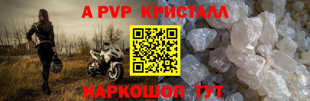 Альфа ПВП крисы CK Вышний Волочёк